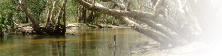 gauging station